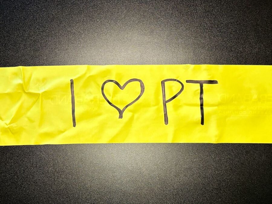 4 Reasons I Love Being a PT